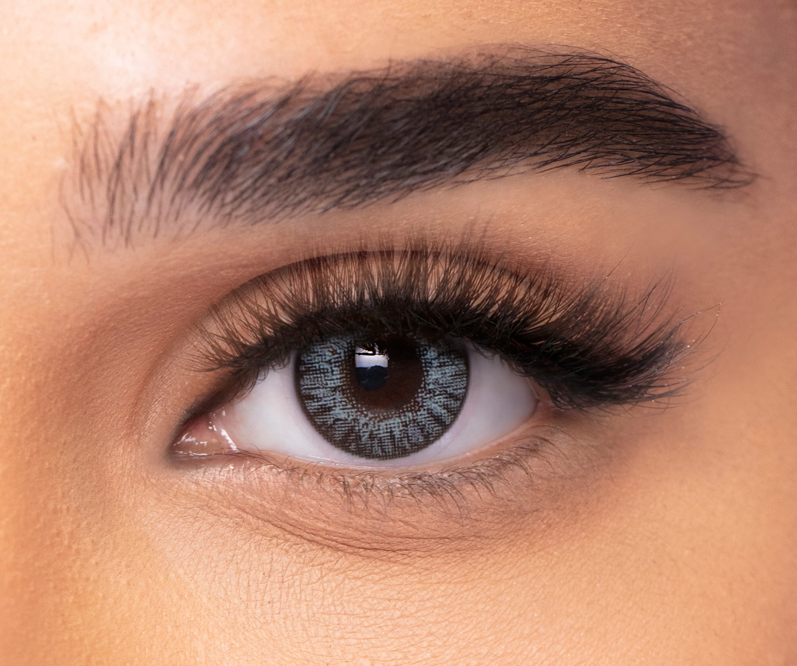 STERLING GRAY FRESHLOOK eyewear