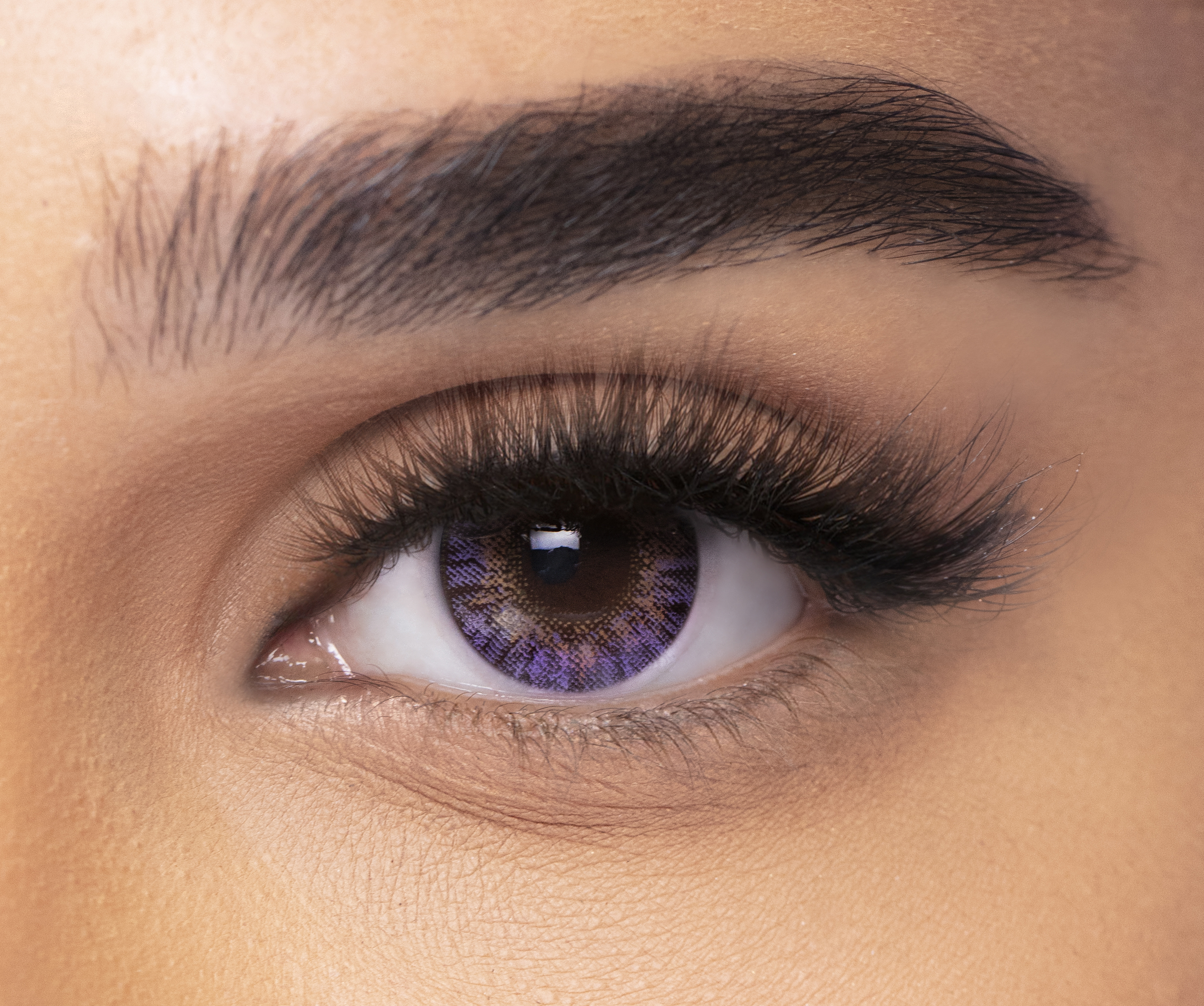 AMETHYST FRESHLOOK eyewear