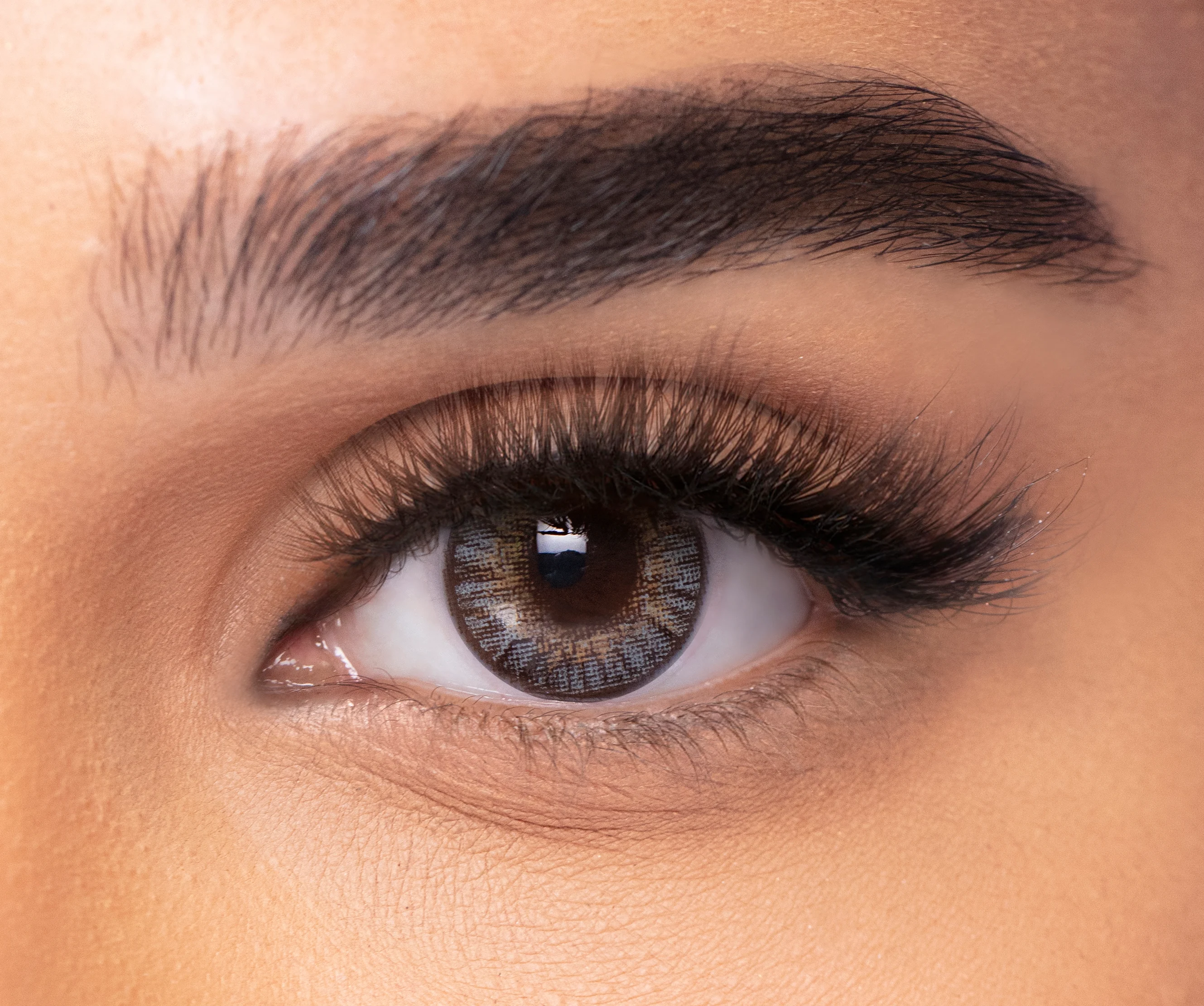 GRAY FRESHLOOK eyewear