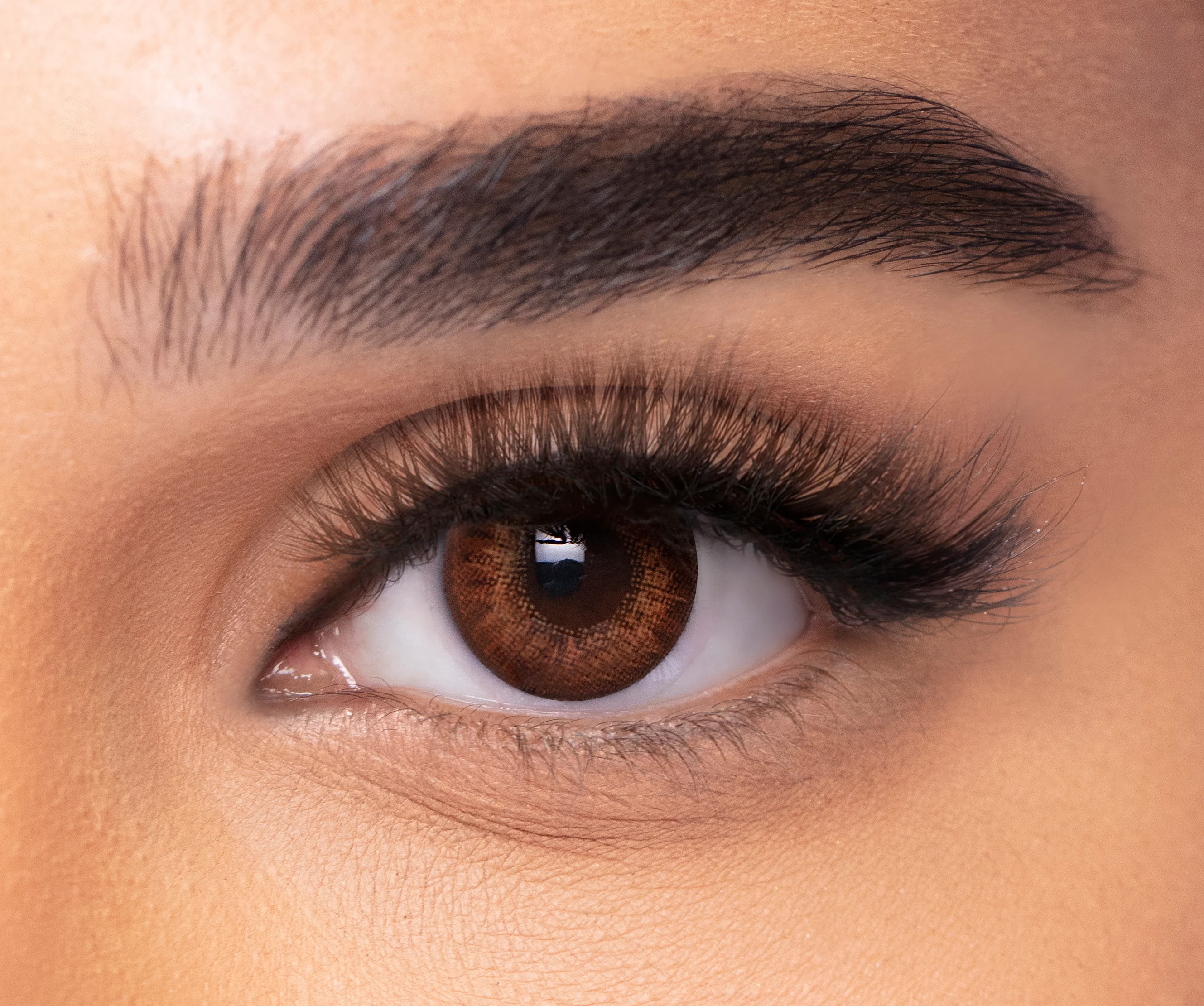 BROWN FRESHLOOK eyewear
