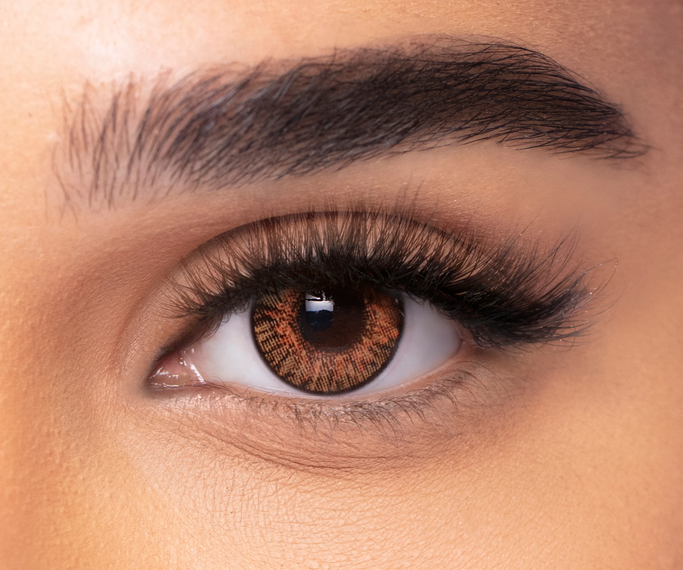 HONEY FRESHLOOK eyewear